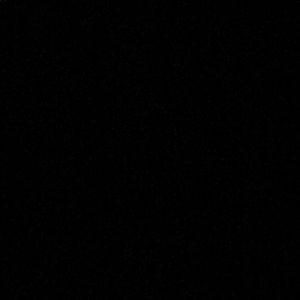 Meet your Posher, Nyla